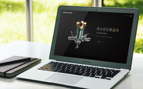偉星安內特